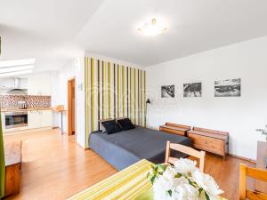 Prodej bytu 1+kk, Slapy, 32 m2