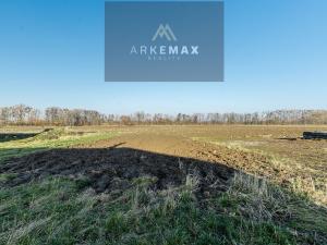 Prodej pozemku pro bydlení, Štítina, 6719 m2