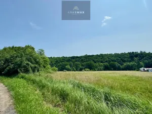 Prodej pozemku pro bydlení, Bílovec, 19605 m2