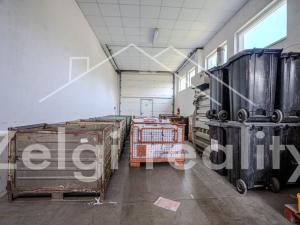 Pronájem výrobních prostor, Velké Němčice, 608 m2