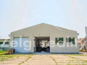 Pronájem výrobních prostor, Hustopeče, 608 m2