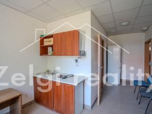 Prodej komerční nemovitosti, Velké Němčice, 1225 m2