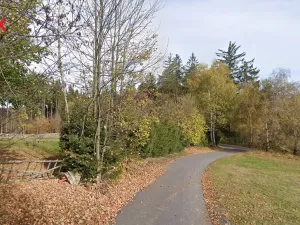 Prodej zahrady, Vacov, 1527 m2