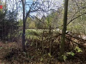 Prodej zahrady, Vacov, 1527 m2