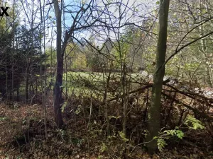 Prodej zahrady, Vacov, 1527 m2