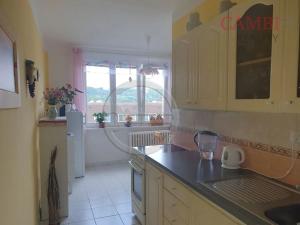 Prodej bytu 1+1, Mariánské Lázně, 60 m2