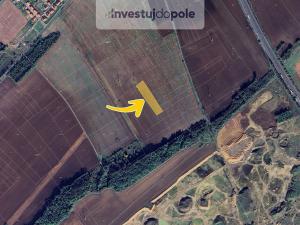 Prodej pole, Veltrusy, 1504 m2