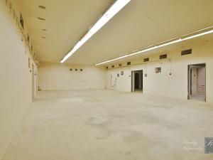 Pronájem skladu, Ústí nad Labem, Jateční, 475 m2