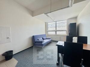 Pronájem bytu 1+kk, Brno, Příkop, 30 m2