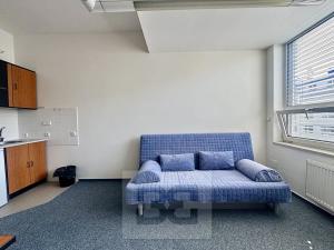 Pronájem bytu 1+kk, Brno, Příkop, 30 m2