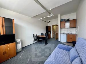 Pronájem bytu 1+kk, Brno, Příkop, 30 m2