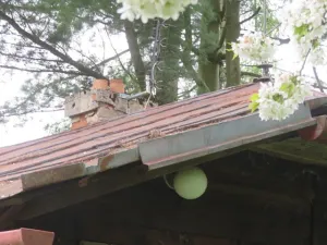 Dražba chaty, Tvrdkov, 51 m2