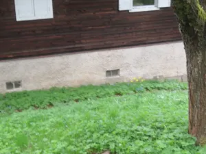 Dražba chaty, Tvrdkov, 51 m2