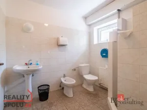 Pronájem výrobních prostor, Vigantice, 780 m2