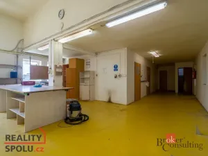 Pronájem výrobních prostor, Vigantice, 780 m2