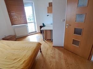 Pronájem bytu 2+kk, Olomouc, gen. Píky, 49 m2