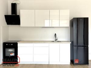 Pronájem bytu 1+kk, Plzeň, Železná, 47 m2