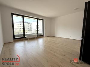 Pronájem bytu 1+kk, Plzeň, Železná, 47 m2