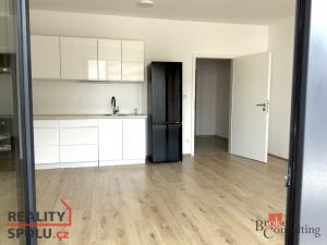 Pronájem bytu 1+kk, Plzeň, Železná, 47 m2