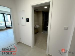 Pronájem bytu 1+kk, Plzeň, Železná, 47 m2