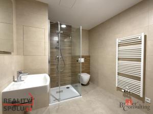 Pronájem bytu 1+kk, Plzeň, Železná, 47 m2
