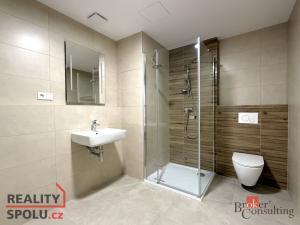 Pronájem bytu 1+kk, Plzeň, Železná, 47 m2
