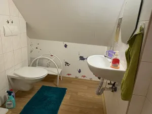 Prodej rodinného domu, Sušice - Volšovy, 270 m2