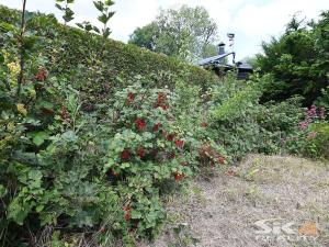 Prodej zahrady, Louny, Na Losech, 456 m2