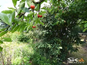 Prodej zahrady, Louny, Na Losech, 456 m2