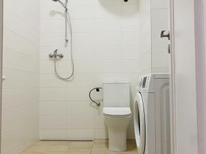 Pronájem bytu 1+kk, Brno, Anenská, 30 m2