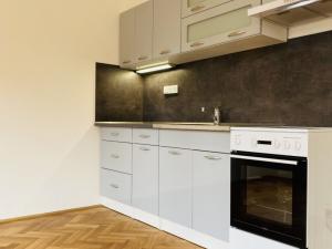 Pronájem bytu 1+kk, Brno, Anenská, 30 m2