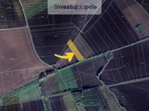 Prodej pole, Úžice - Netřeba, 1329 m2