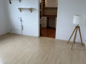 Pronájem bytu 2+1, Ostrava, Opavská, 44 m2