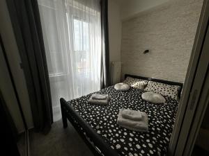 Pronájem bytu 2+kk, Praha - Nové Město, Sokolská, 23 m2