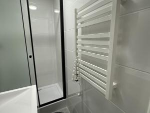 Pronájem bytu 2+kk, Praha - Nové Město, Sokolská, 23 m2