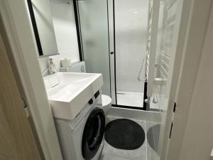 Pronájem bytu 2+kk, Praha - Nové Město, Sokolská, 23 m2