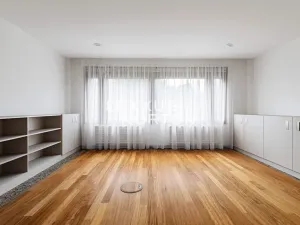 Pronájem bytu 6+kk a větší, Praha - Bubeneč, Pod kaštany, 270 m2