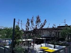 Pronájem bytu 2+kk, Praha - Modřany, Československého exilu, 54 m2