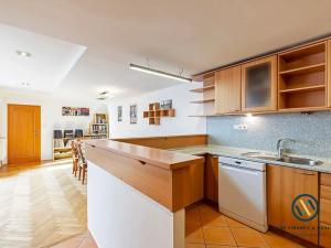 Prodej bytu 4+kk, Brno, Halasovo náměstí, 151 m2