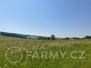 Prodej louky, Těchonín, 113108 m2