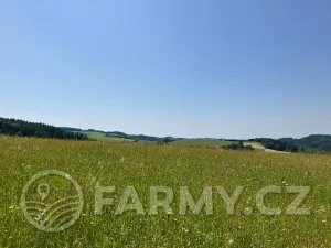 Prodej louky, Těchonín, 113108 m2