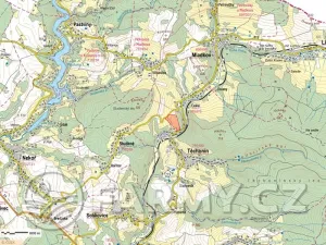 Prodej louky, Těchonín, 113108 m2