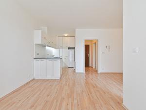 Pronájem bytu 2+kk, Brno - Slatina, Řípská, 42 m2