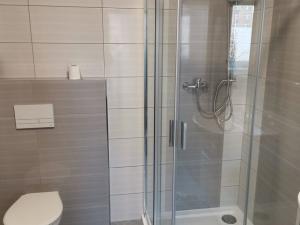 Pronájem bytu 2+kk, Zruč nad Sázavou, Okružní, 38 m2