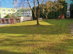 Pronájem bytu 2+kk, Zruč nad Sázavou, Okružní, 38 m2