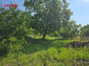 Prodej pozemku pro bydlení, Viničné Šumice, 1428 m2