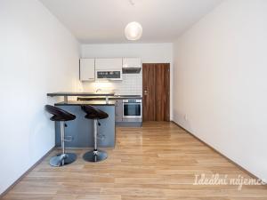 Pronájem bytu 2+kk, Praha - Žižkov, Biskupcova, 44 m2