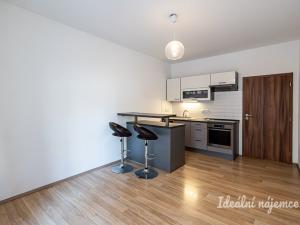 Pronájem bytu 2+kk, Praha - Žižkov, Biskupcova, 44 m2