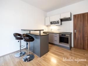 Pronájem bytu 2+kk, Praha - Žižkov, Biskupcova, 44 m2