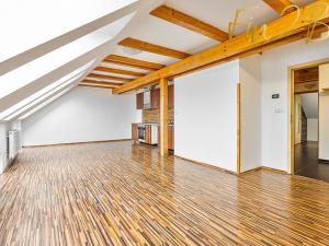 Prodej bytu 3+kk, Jihlava, Žižkova, 104 m2